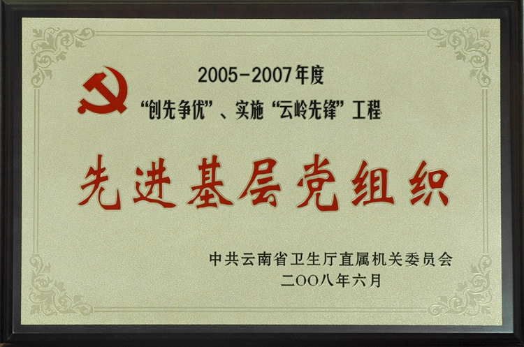 先进基层团组织3.jpg