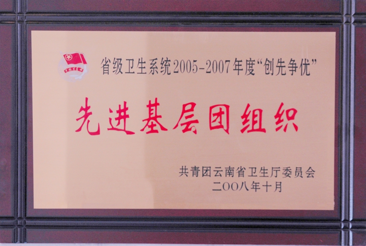 先进基层团组织2.jpg