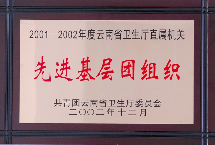 先进基层团组织.jpg