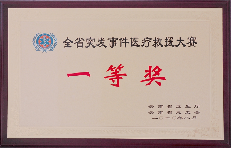全省突发事件医疗救援大赛 一等奖.jpg