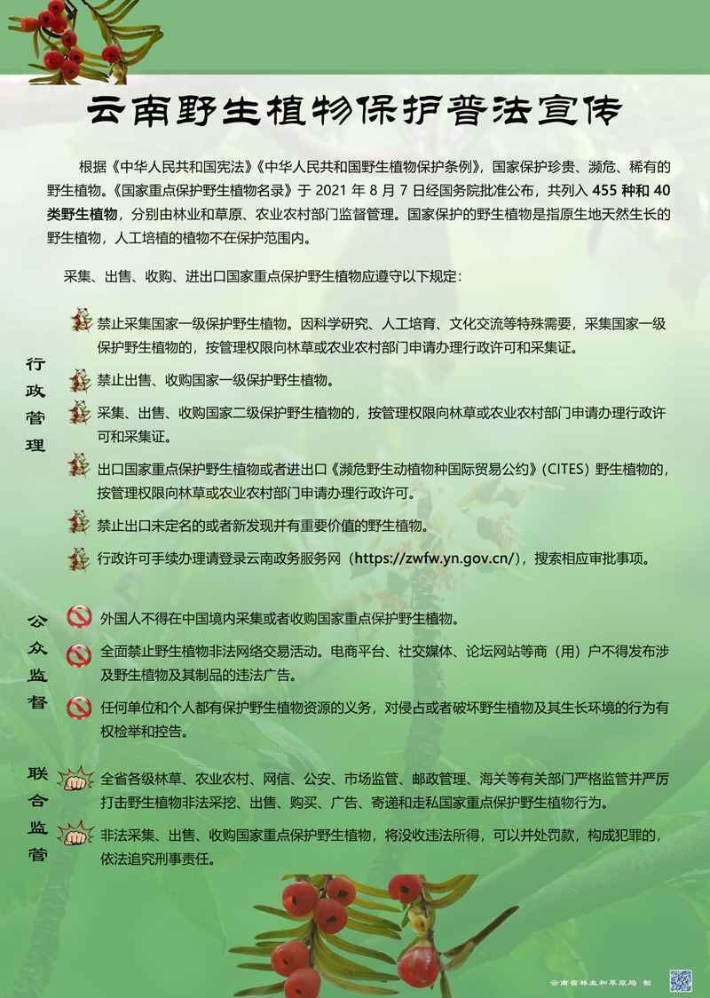 云南野生植物保护普法宣传_00.jpg